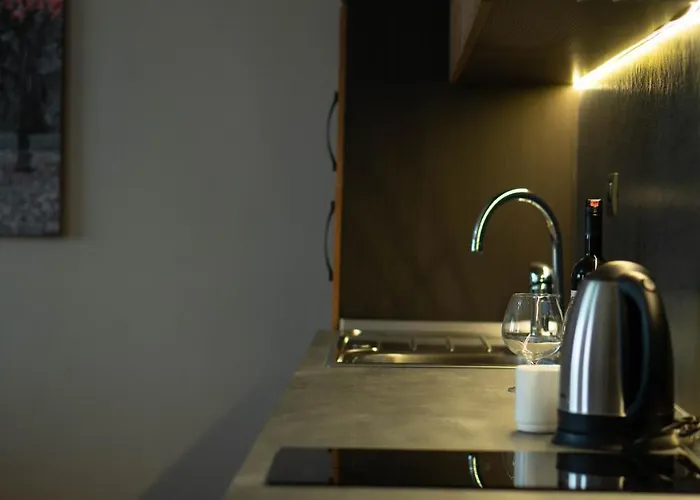 Eka Luxury Premium 公寓